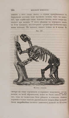 Фольмер К.Г.В. Мир до сотворения человека... СПб.: М.О. Вольф, 1865.